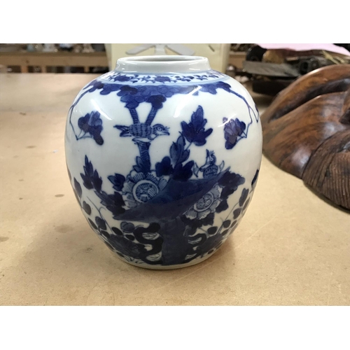 1116 - A Chinese blue and white ginger jar and cover and decorated with flowers and foilage.