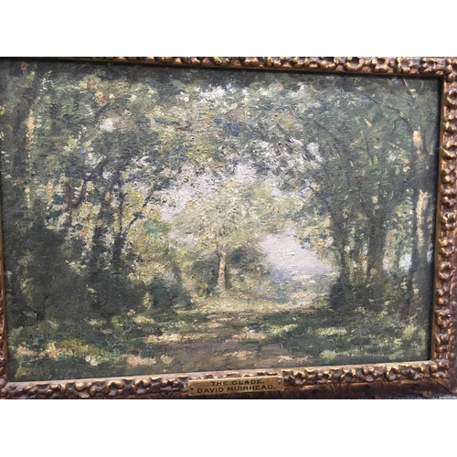 1534 - A David Thomas Murhead, The Glade oil on canvas 50 cm by 30 cm .