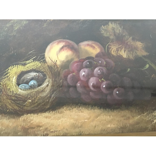 1553 - An Early 20th century oil painting still life study with fruit and a birds nest with eggs unsigned. ... 