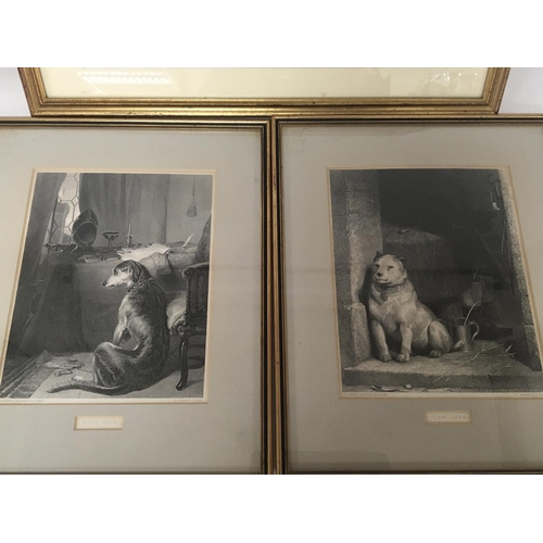 1555 - Two framed prints studies of dogs High Life and Low Life and a framed etching Sailing Barges at Chat... 