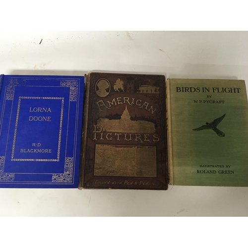 1808 - Three books a 19th Century American Pictures an interesting insight to American life 1876 with numer... 