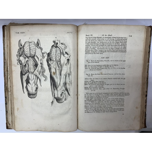 1813 - The Anatomy of an Horse. Containing an exact and full Description of the Frame, Andrew Snape, Publis... 