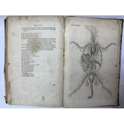 1813 - The Anatomy of an Horse. Containing an exact and full Description of the Frame, Andrew Snape, Publis... 