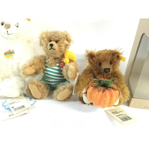 2110 - Three Steiff bears including a cosy friends. An autumn bear with pumpkin (in wrong box) and a limite... 