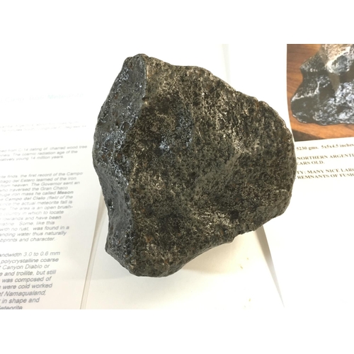 665 - A Campo del Cielo meteorite weighing 5230 grams. Comes with certificate of authenticity.