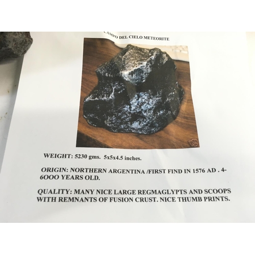 665 - A Campo del Cielo meteorite weighing 5230 grams. Comes with certificate of authenticity.