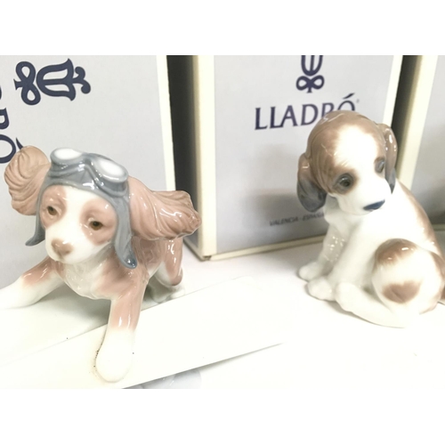 804 - A collection of boxed Lladro porcelain Dog figurines , no obvious damage or restoration. Postage cat... 