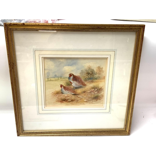 949 - A Watercolour painting of French Partridges by James Stinton 1870-1961. With frame 42cm x 41cm