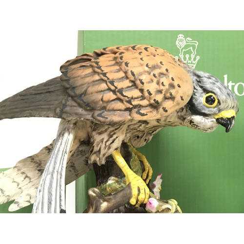 1361 - Royal Doulton bird figurines including a Kestrel & a Pedegrine Falcon from 20 to 29cm tall. No obvio... 