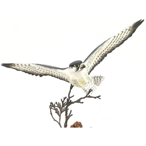 1363 - Danbury Mint The Peregrine Falcon figurine. 29cm tall. No obvious damage Postage category D