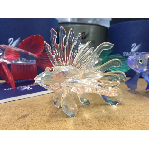 1406 - Four Swarovski fish in fitted boxes including a Lion Fish with pale pink tone to fins and red eyes a... 