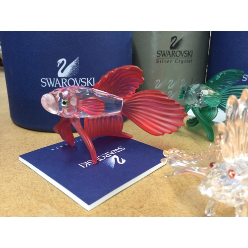 1406 - Four Swarovski fish in fitted boxes including a Lion Fish with pale pink tone to fins and red eyes a... 