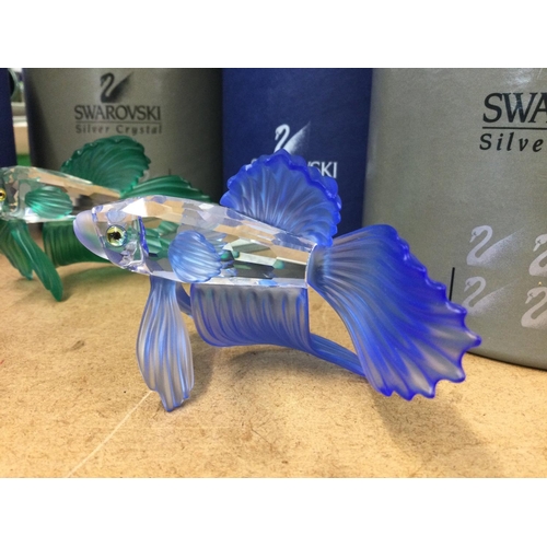 1406 - Four Swarovski fish in fitted boxes including a Lion Fish with pale pink tone to fins and red eyes a... 