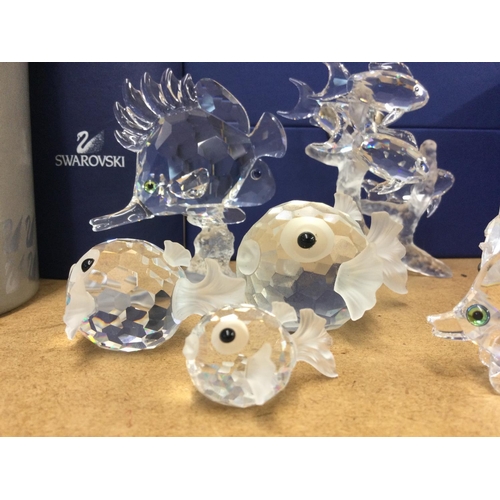 1407 - A collection of boxed Swarovski fish including shoal on coral, three sizes of Puffer Fish, Angel Fis... 