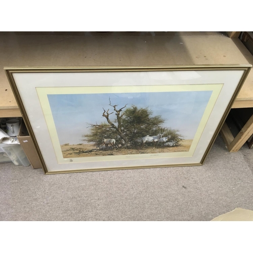 1801 - A framed and signed David Shepard print. Approx 102x74cm.