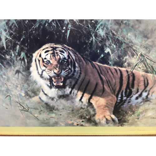 1817 - A signed print of limited edition David Shepard study of tigers. 114x74cm.