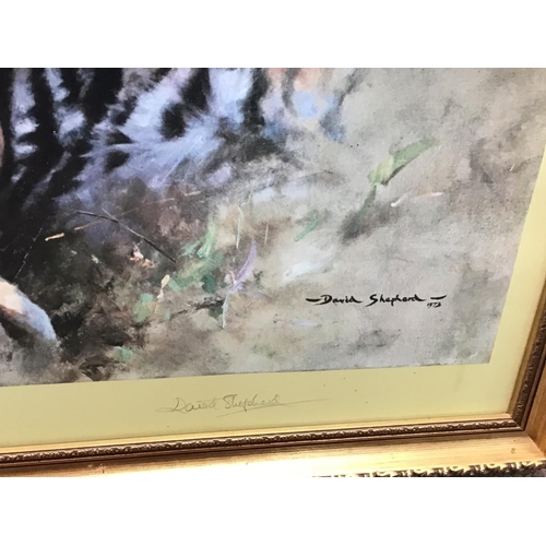 1817 - A signed print of limited edition David Shepard study of tigers. 114x74cm.