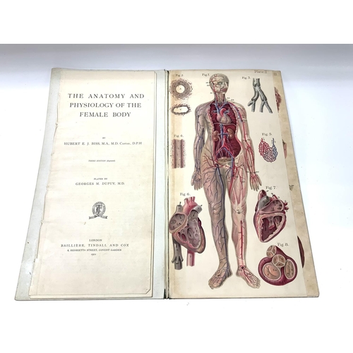 1952 - Bailliere's Popular Atlas of the Anatomy and Physiology of the Female Human Body. (B)