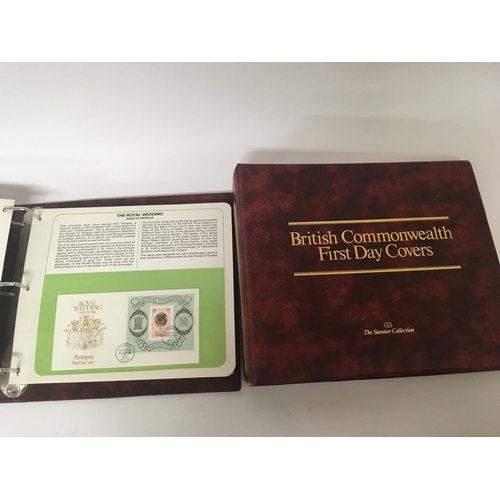 2041 - Two albums containing British Commonwealth and First Day Covers in two albums (2)