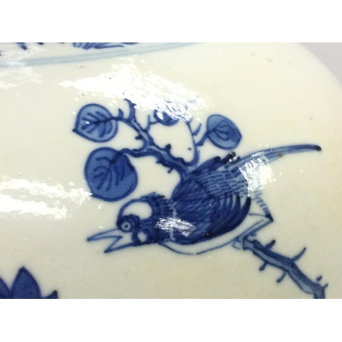 1127 - A 19th century Chinese blue and white ginger tea jar decorated with birds and flowers. Approximately... 