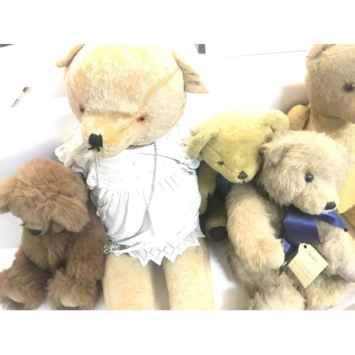 328 - A Collection of 5 Vintage Teddy Bears No Reserve.