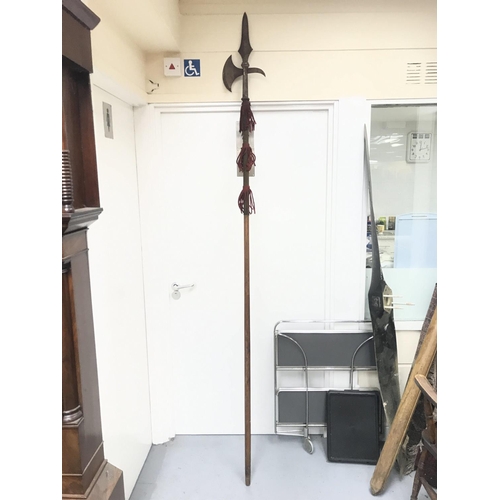 153 - A large Spear 245cm long.