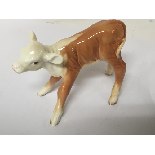 1109 - A rare large size Beswick model of Hereford bull calf no obvious damage height 11cm- NO RESERVE