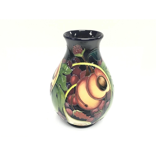 1193 - A queens choice EB Moorcroft vase. 19cm tall. No damage