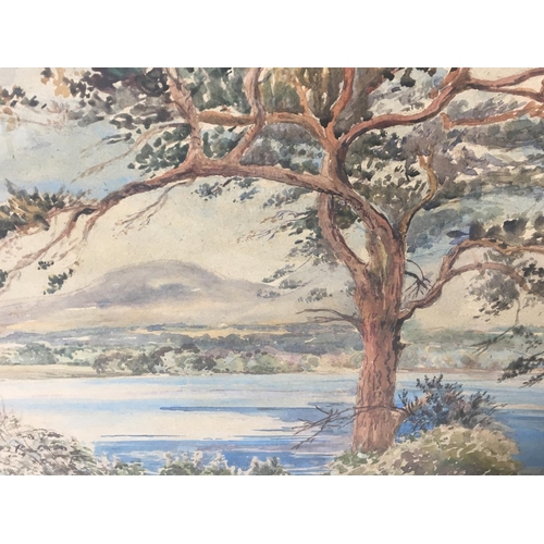 1618 - A collection of five framed watercolours and a pencil sketch study of birds including a watercolour ... 