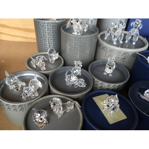 1106 - A large collection of boxed Swarovski Dog and Cat figures various including Poodles and seated cats ... 