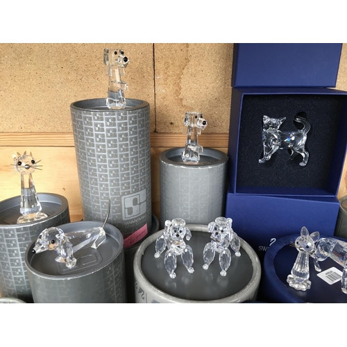 1106 - A large collection of boxed Swarovski Dog and Cat figures various including Poodles and seated cats ... 