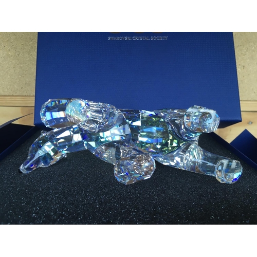 1111 - A Large Swarovski Siku Polar Bear figure in fitted box with certificate of authenticity.