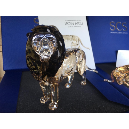 1118 - A large Swarovski Crystal SCS Annual Edition 2016 Lion Akili figure in fitted box with certificate o... 