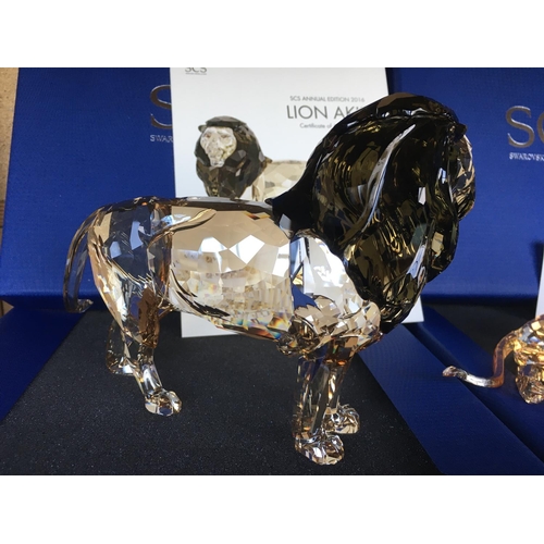 1118 - A large Swarovski Crystal SCS Annual Edition 2016 Lion Akili figure in fitted box with certificate o... 