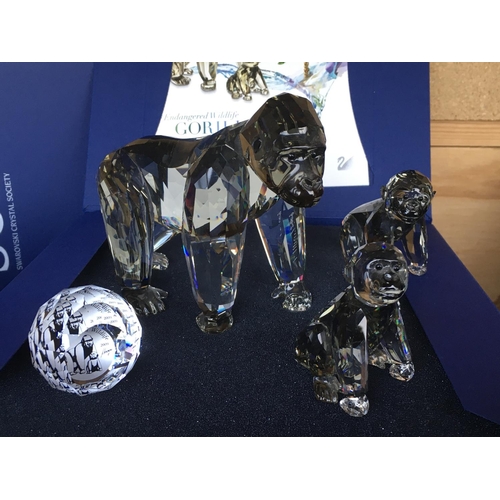 1119 - Three Swarovski Gorilla figures from the Engangered wildlife series in fitted boxes with certificate... 