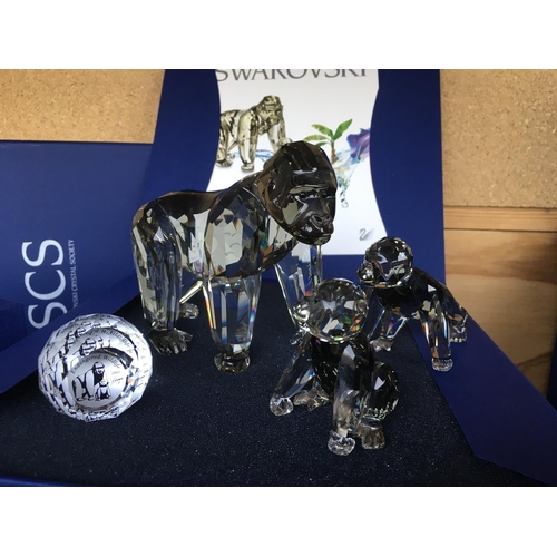 1119 - Three Swarovski Gorilla figures from the Engangered wildlife series in fitted boxes with certificate... 