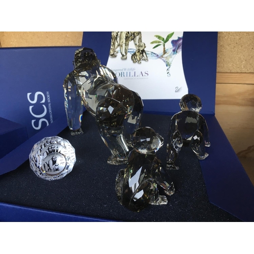 1119 - Three Swarovski Gorilla figures from the Engangered wildlife series in fitted boxes with certificate... 