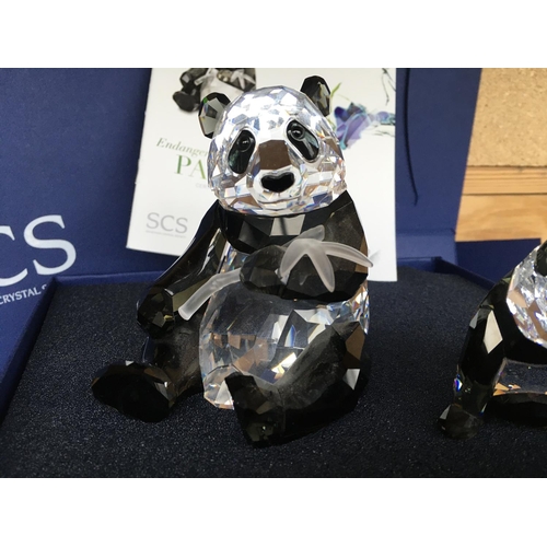 1128 - Swarovski Endangered Wildlife series - Panda mother and cub in fitted box with certificate of authen... 