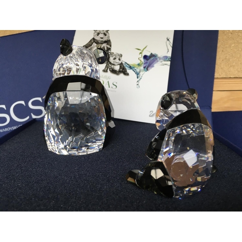 1128 - Swarovski Endangered Wildlife series - Panda mother and cub in fitted box with certificate of authen... 