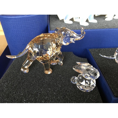 1129 - Swarovski animal figures including a pair of white coloured polar bears, a pair of meerkats, a Hare,... 