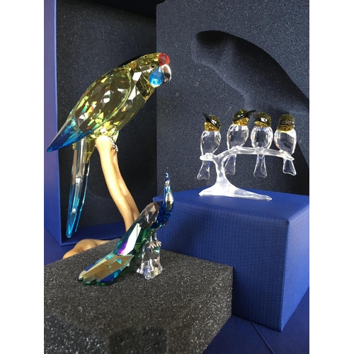 1132 - Three Swarovski bird figures including very large parakeet on wooden stand and a peacock. No obvious... 