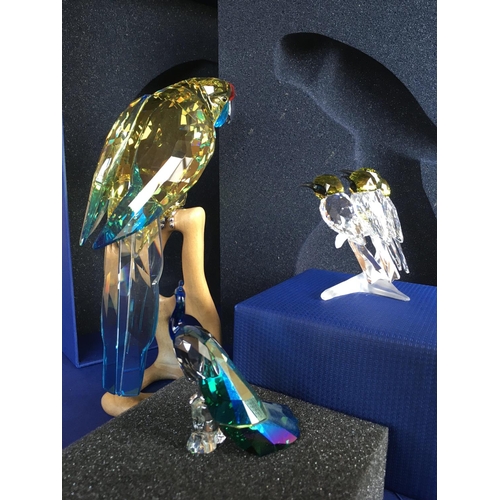 1132 - Three Swarovski bird figures including very large parakeet on wooden stand and a peacock. No obvious... 