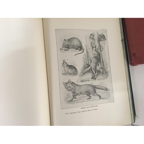 1775 - A collection of books Methods in the Art of Taxidermy by Oliver Davie with 90 full page illustration... 