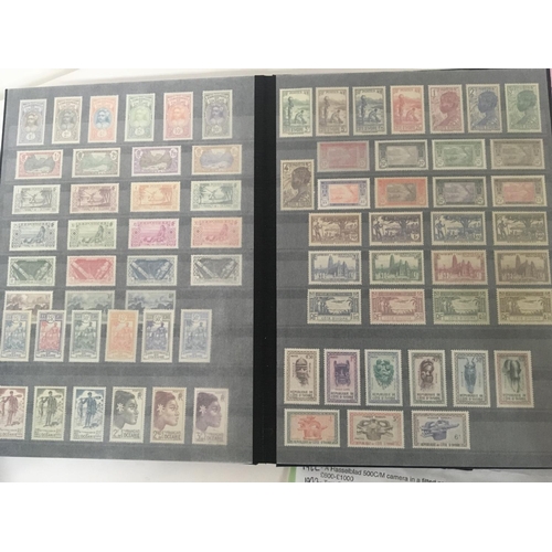 1814 - An Album of unused mint stamps well presented Stamps from African Countries Cameron Afrique Equatori... 