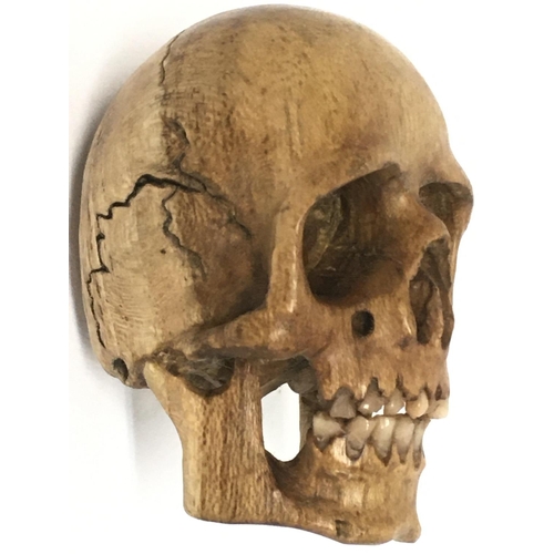 988 - A Memento Mori carved fruit wood skull. 7cm tall, 4.5cm in diameter. Postage category A