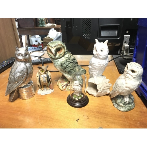 1023 - A large collection of Various owl figures, this lot cannot be posted