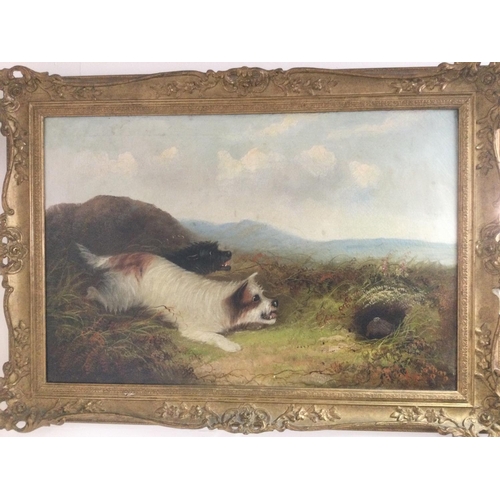 1418 - George Armfield 1808-1893. A gilt framed oil on canvas of hunting dogs, approx 90cm x 64cm. Shipping... 