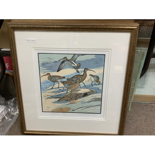 1421 - Robert Greenhalf, 6 signed woodblock prints of seabirds, 51.5cm x 53cm