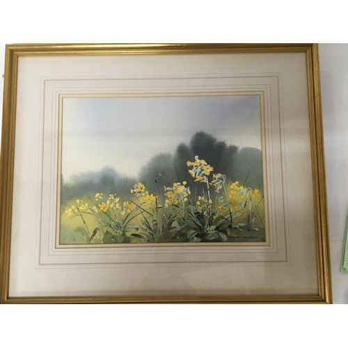 1439 - A framed watercolour by Godfrey Sayers 1986 Cowslips and Cockthorpe the reverse with Gallery details... 