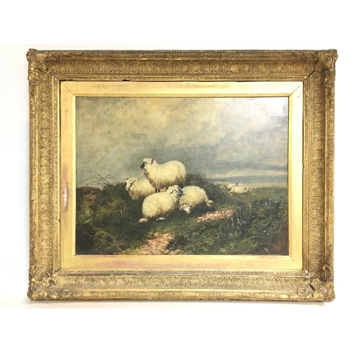 1458 - A large gilt framed oil on canvas painting study of a flock of sheep in the countryside. Frame dimen... 